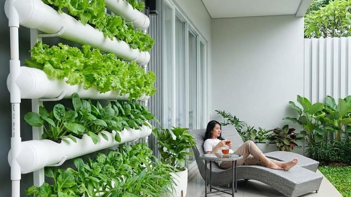 7 Tips Berkebun di Rumah Kecil agar Tetap Subur, Hemat Biaya dan Mudah Dirawat