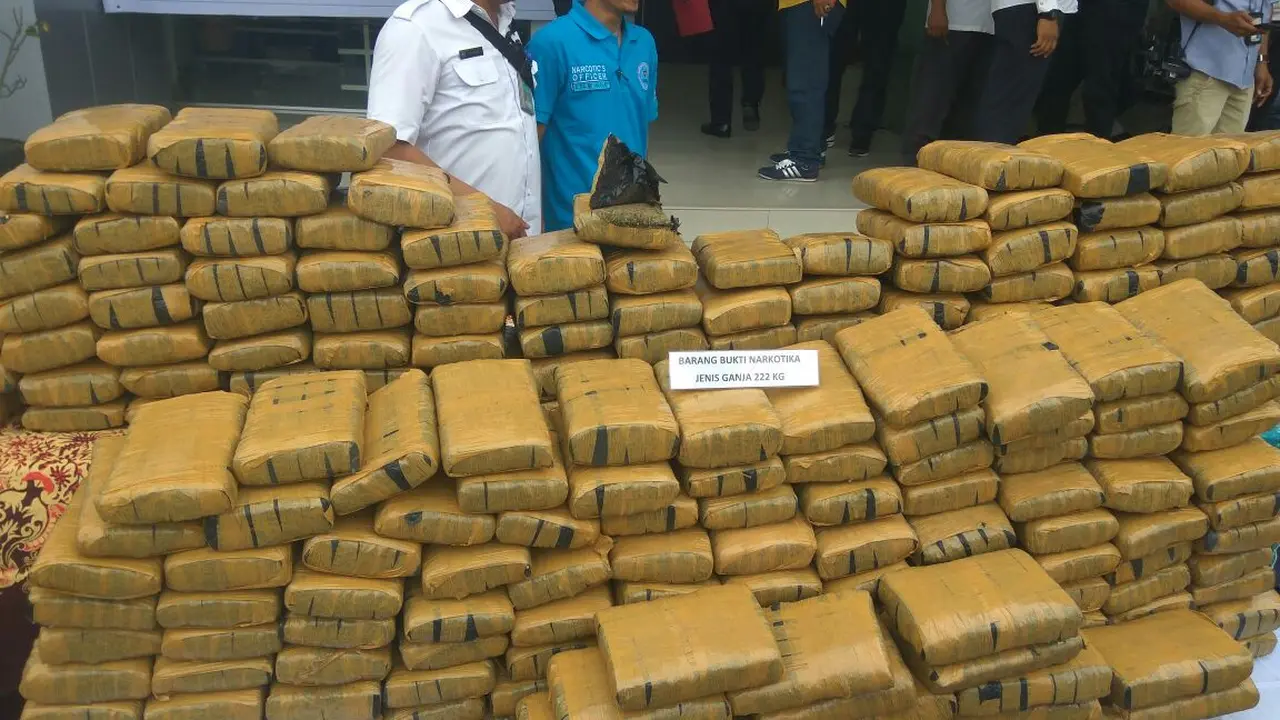 Kisah Kurir Penyimpan 222 Kg Ganja yang Diupah Rp 50 Ribu