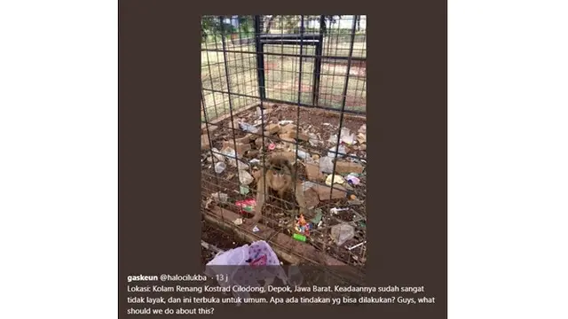 Tak Layak Huni, 4 Potret Mini Zoo Ini Bikin Miris