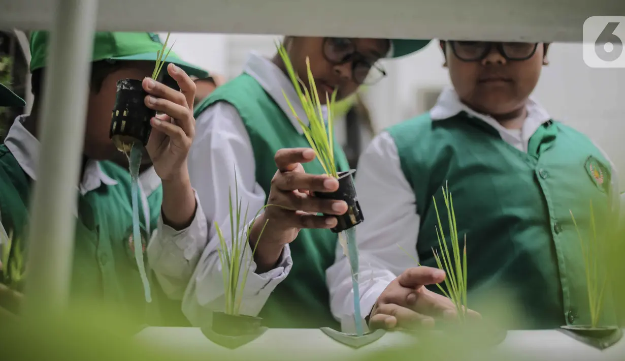 Sejumlah murid SD Laboratorium Jakarta melihat tanaman hidroponik di Balaikota Farm, Jakarta, Selasa (15/10/2019). Kegiatan belajar di luar ruangan ini untuk mengenal bibit, cara menanam, nutrisi dan media tanam hidroponik. (Liputan6.com/Faizal Fanani)