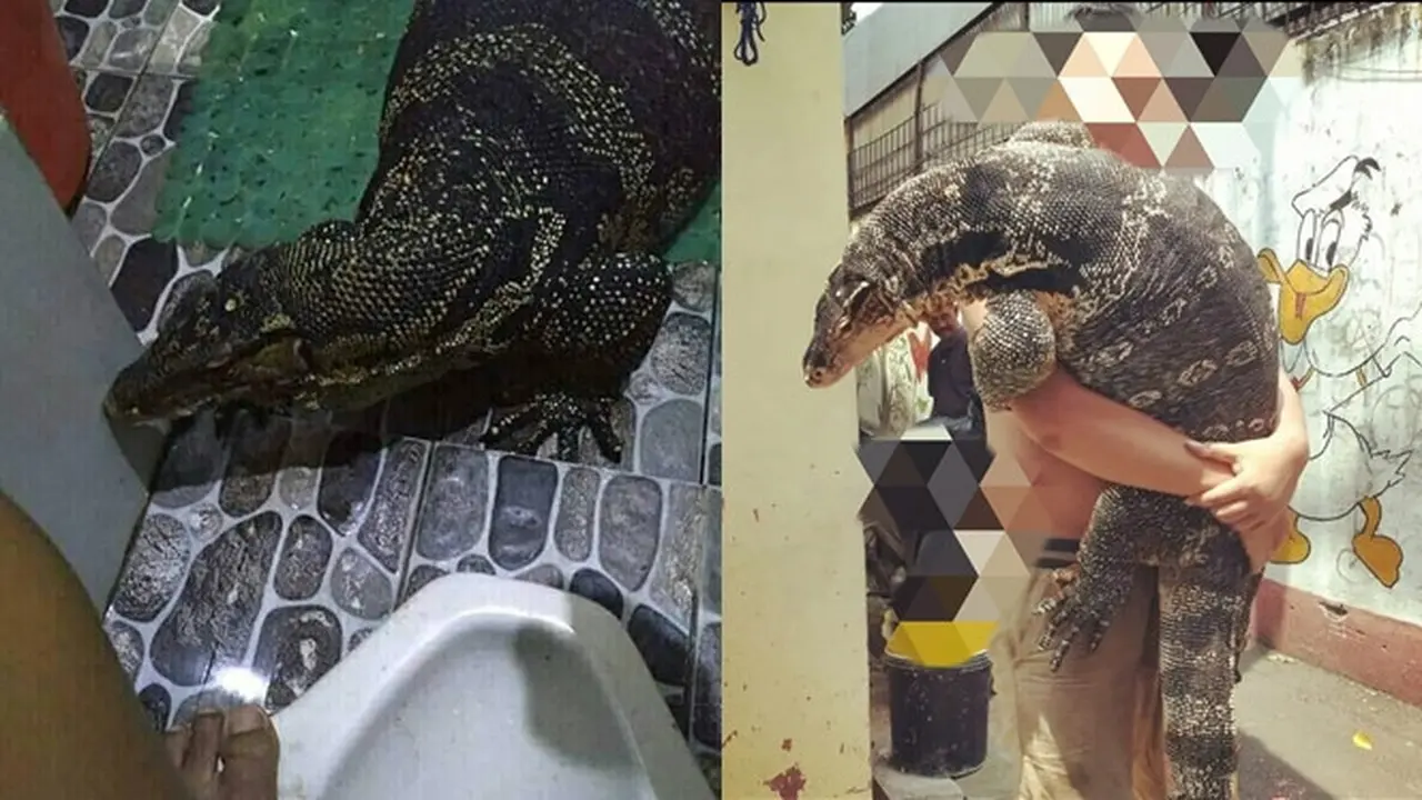 Menyelinap Masuk, 6 Potret Orang Bertemu Biawak Ini Bikin Was-Was