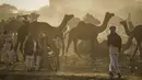 Orang-orang berjalan melewati unta-unta pada pameran ternak tahunan di Pushkar, India, 11 November 2021. Pushkar adalah tempat ziarah Hindu populer yang juga sering dikunjungi oleh turis asing pada pameran ternak tahunannya. (AP Photo/Deepak Sharma)