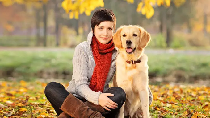 Foto: copyright shutterstock.com