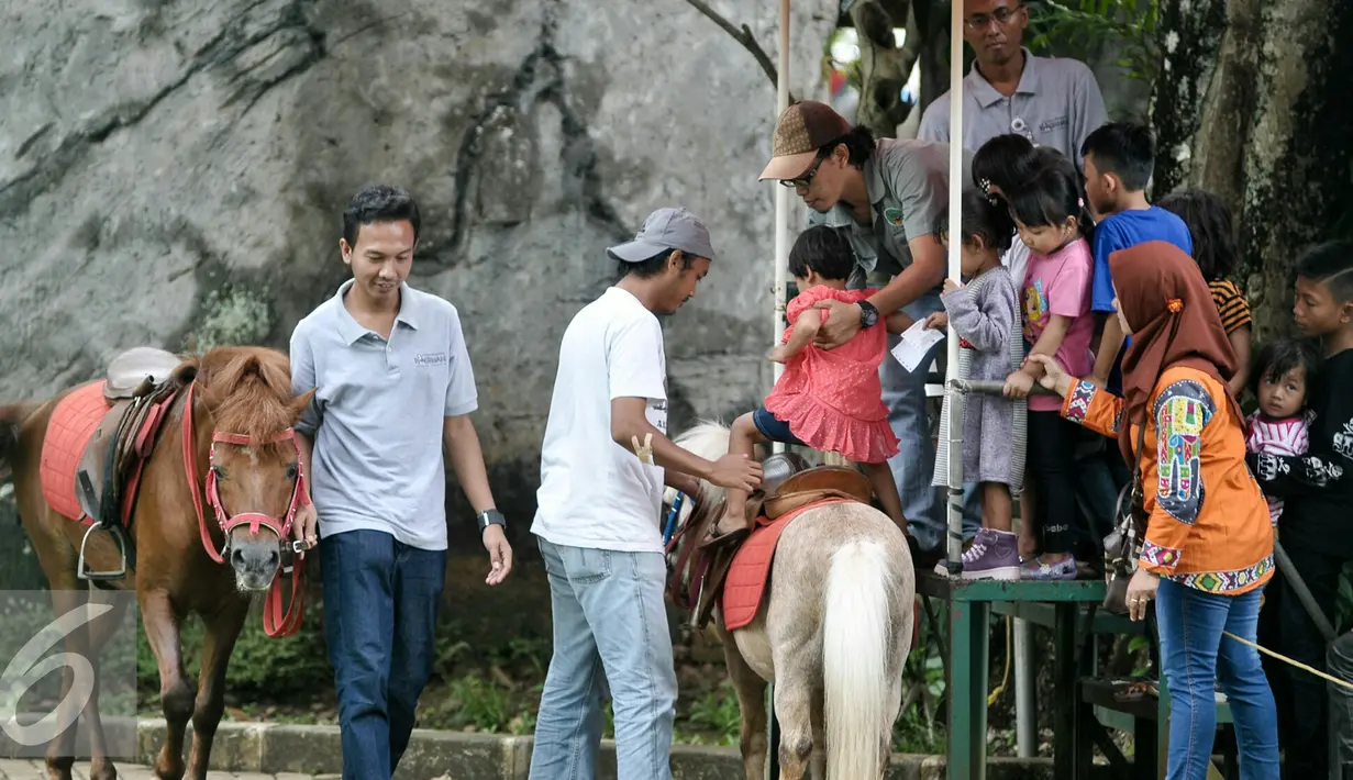 Pengunjung menaiki kuda poni di Taman Margasatwa Ragunan, Jakarta, Sabtu (9/7). Pengunjung Kebun Binatang Ragunan kembali membeludak di akhir libur Lebaran. (Liputan6.com/Yoppy Renato)
