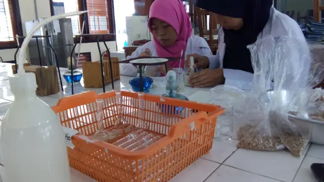 Beras Analog