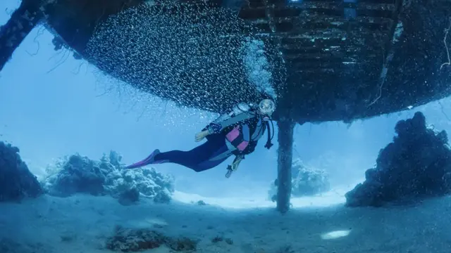 Marischka Prudence: Jangan Lakukan Hal Ini Saat Diving