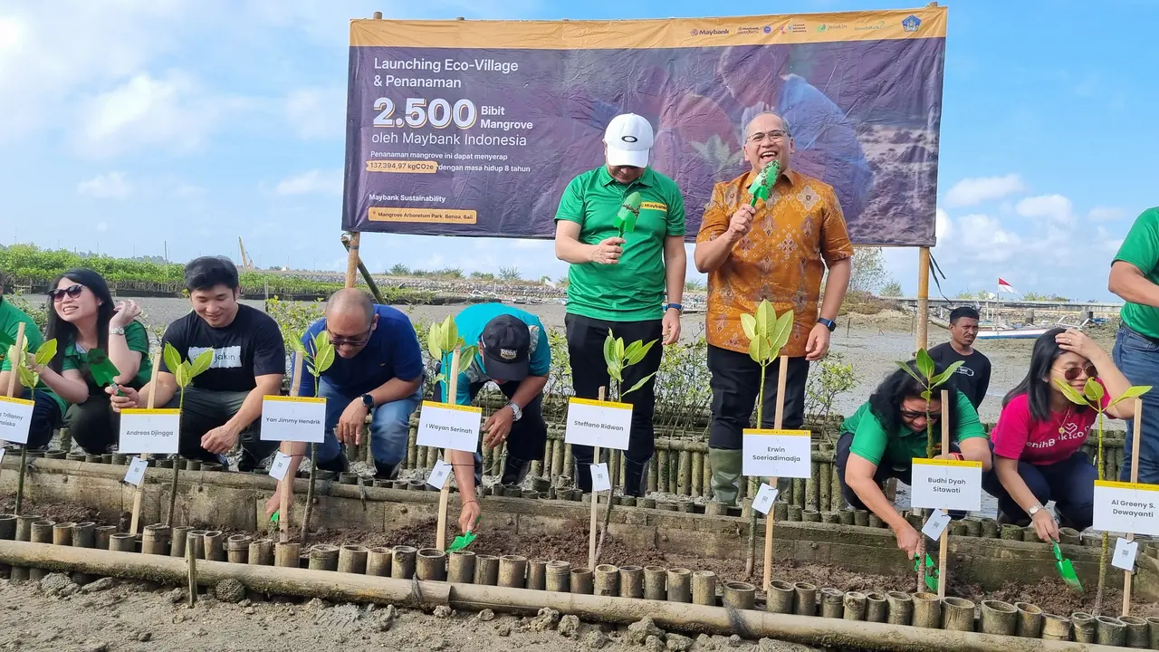 Maybank Marathon 2024, penanaman mangrove