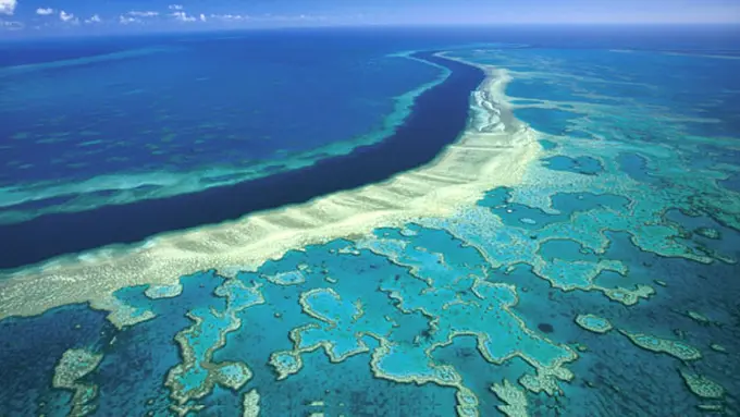 (C) australiangeographic.com.au