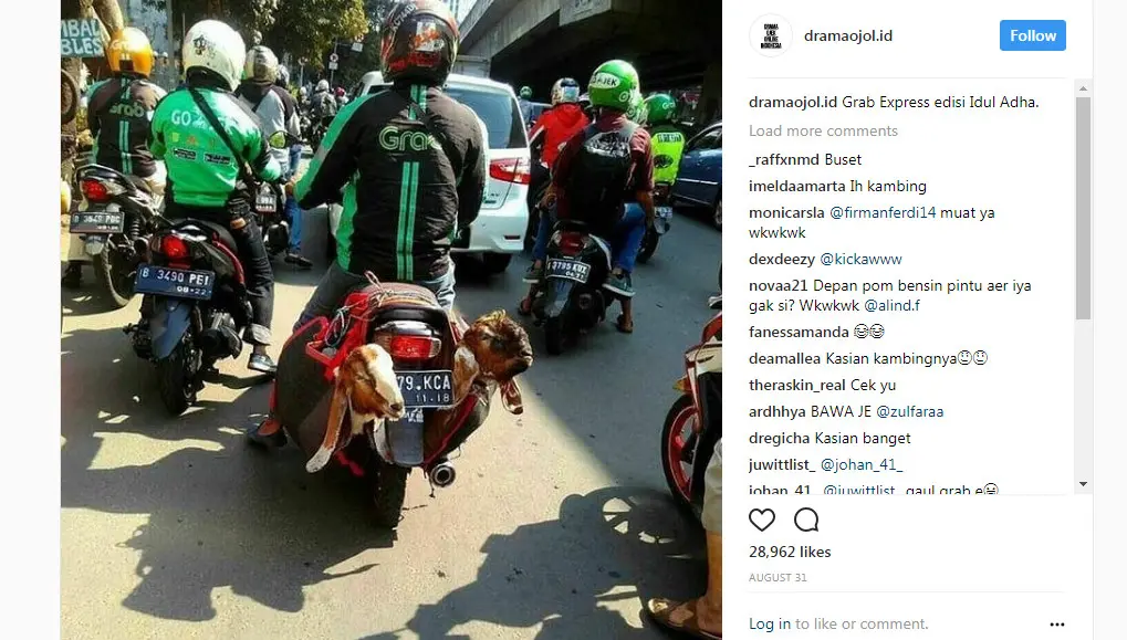 Ojek online bawa hewan kurban (Sumber: Instagram/ @dramaojol.id)