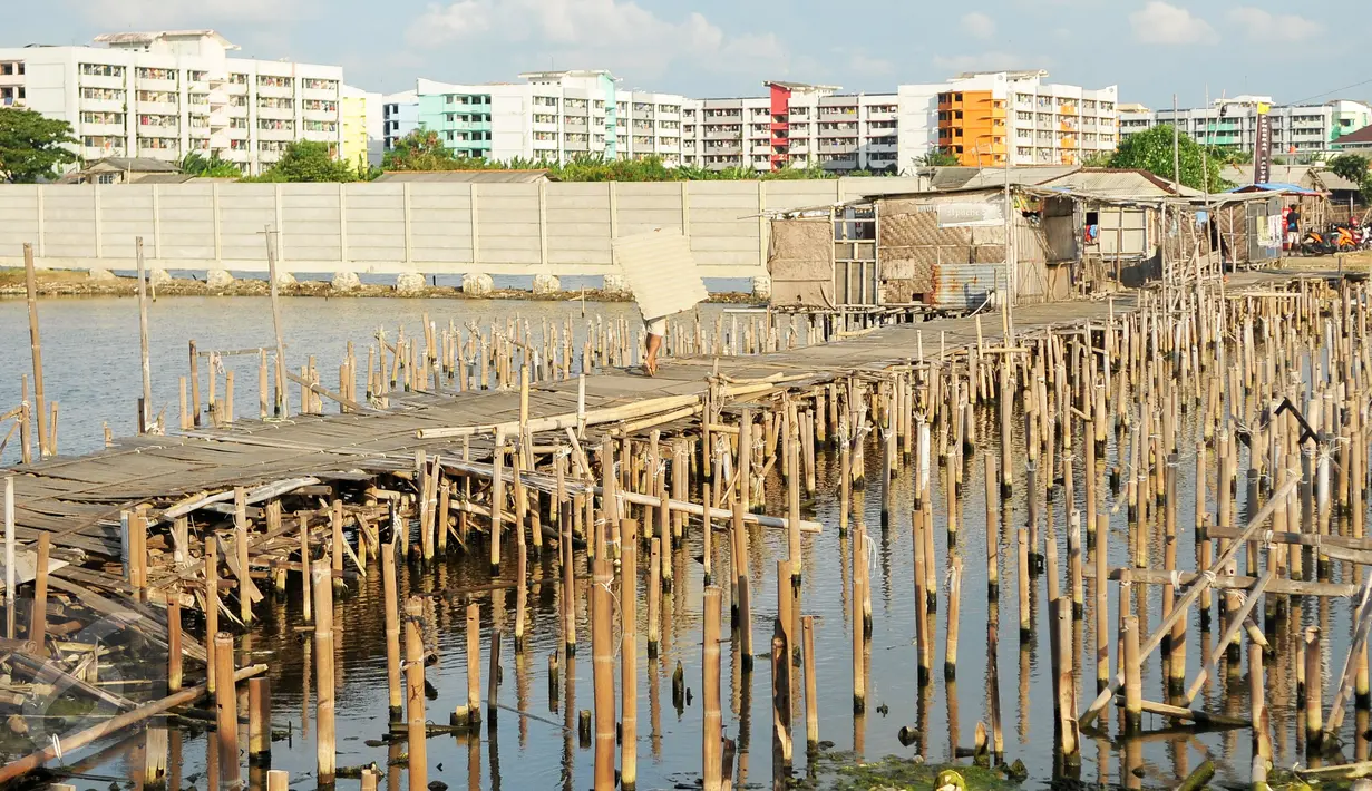 Warga berjalan di jembatan bambu yang berada di kawasan wisata Pantai Marunda, Jakarta, Rabu (10/8). Meskipun terlihat kumuh, Pantai Marunda masih menjadi salah satu pilihan wisata murah bagi warga Jakarta. (Liputan6.com/Gempur M Surya)