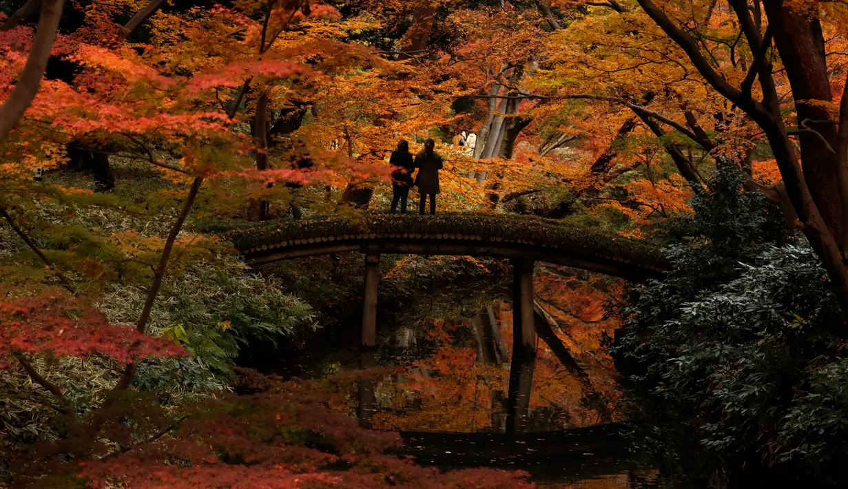 Wisatawan memotret warna-warni dedaunan saat musim gugur di Taman Rikugien, Distrik Bunkyo, Tokyo, Jepang, Selasa (10/12/2019). Musim gugur di Tokyo jatuh bulan November hingga pertengahan Desember. (AP Photo/Jae C. Hong)