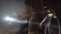 Kebakaran kandang ayam di Dukuh Ngronggah, Desa Sempu, Kecamatan Kunduran, Kabupaten Blora. (Liputan6.com/ Ahmad Adirin.
