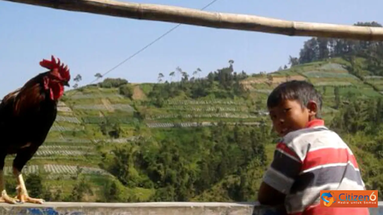 131223kaki-gunung-merbabu.jpg