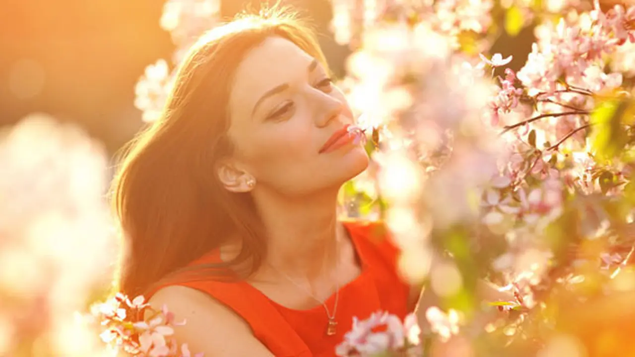 Foto: Shutterstock