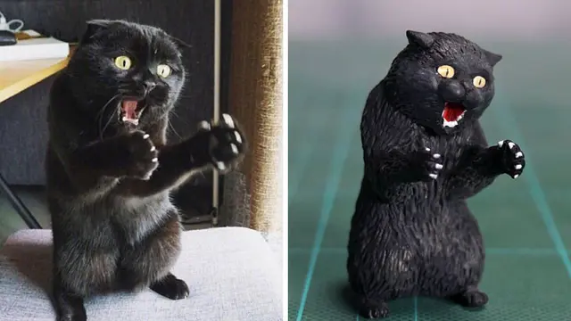 kucing