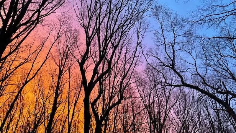 Langit pagi ini terlihat seperti gradasi pelangi