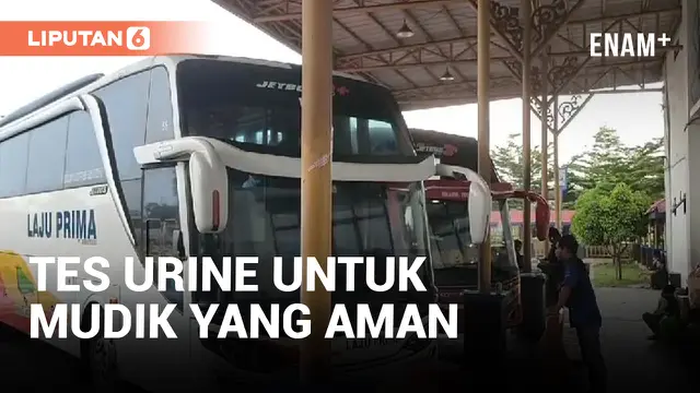 BNN Depok Gelar Tes Urine ke Awak Bus