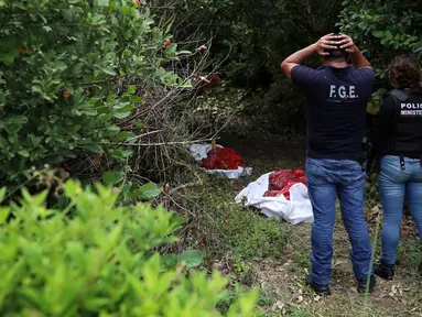 Peneliti melihat sisa-sisa manusia, yang ditempatkan di tas merah, digali dari situs kuburan massal rahasia di Arbolillo, negara bagian Veracruz, Meksiko, Jumat (7/9). Satu hari sebelumnya pihak berwenang menemukan 166 tengkorak manusia (AP/Felix Marquez)