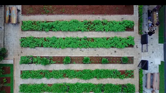 Potret Kebun Organik Milik Prilly Latuconsina, Ada Sayur Hingga Buah-buahan. (Sumber: YouTube/Prilly Latuconsina)