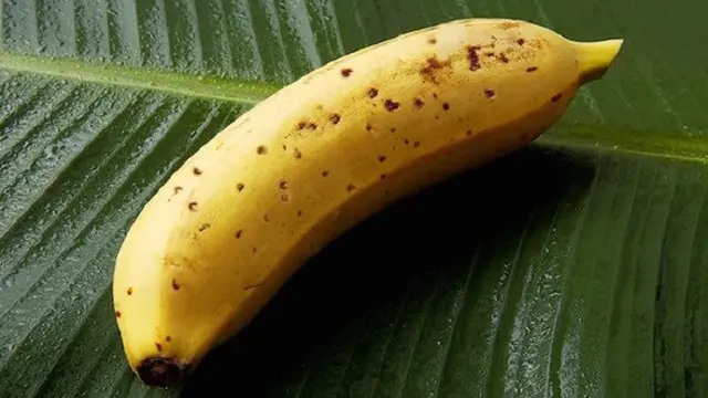 Makan pisang dengan kulitnya.