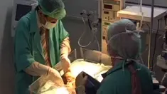 liputan6