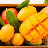 ilustrasi buah mangga/copyright by Romix Image (Shutterstock)