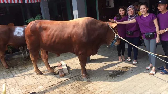 [Bintang] Ayu Ting Ting