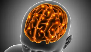 Ilustrasi otak manusia, mengidap empty sella syndrome. (Image by kjpargeter on Freepik)