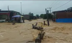 Banjir di Aceh Timur (Liputan6.com/Ist)
