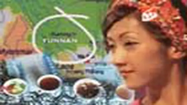 Pesan dari Yunnan