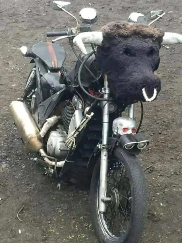 Kumpulan Potret Modifikasi Sepeda Motor yang Terinspirasi dari Hewan (ist)