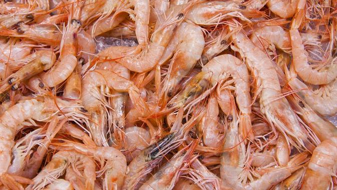 6 Fakta Menarik Tulang Bawang, Penghasil Udang dan Gula Terbesar di Indonesia - Vimarsana News