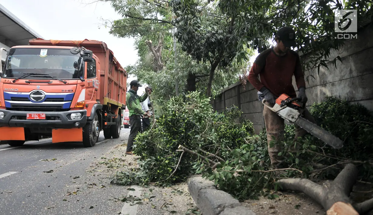 Kendaraan melintas saat petugas Suku Dinas Kehutanan Jakarta Timur menebang pohon di pinggir Jalan I Gusti Ngurah Rai, Jakarta, Rabu (25/7). Penebangan dilakukan untuk mengantisipasi terjadinya pohon tumbang. (Merdeka.com/Iqbal Nugroho)