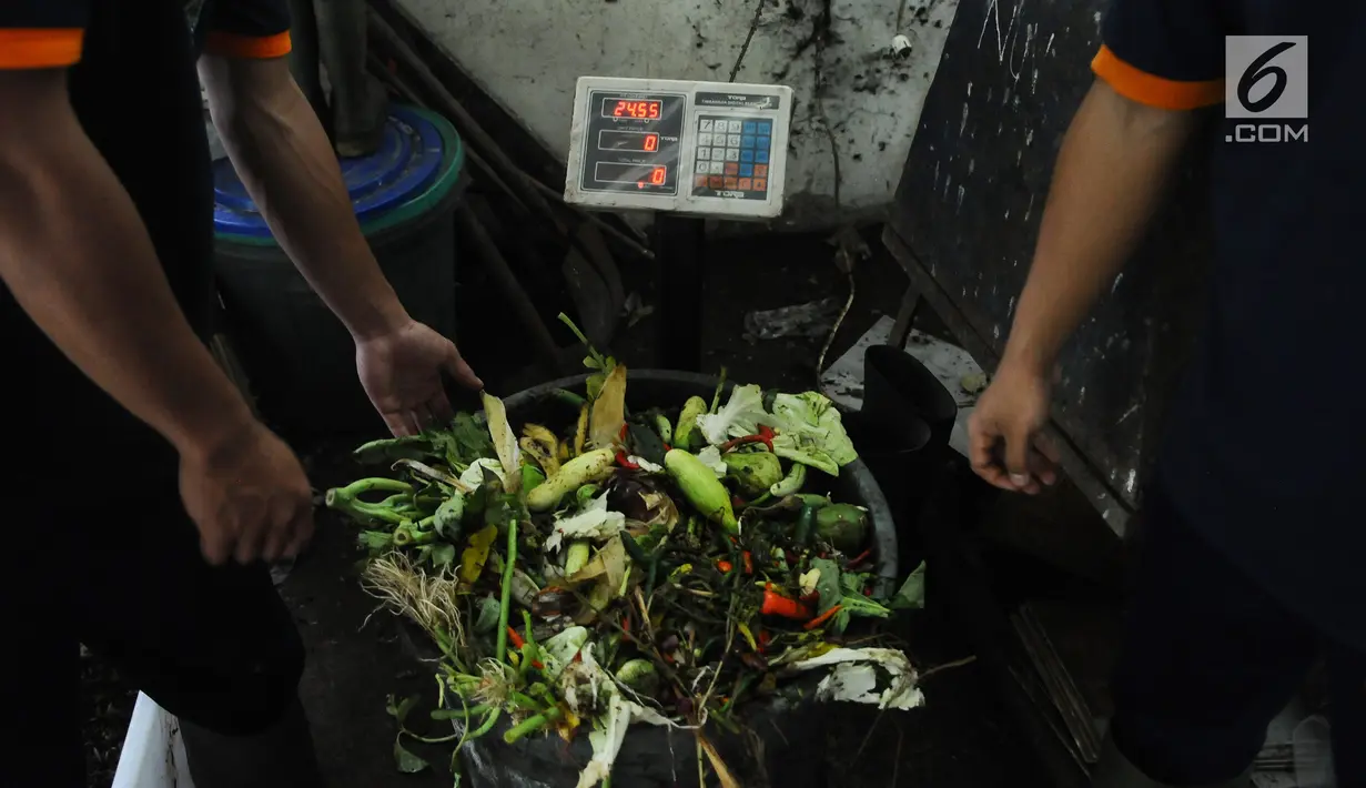 Petugas membawa sampah organik untuk pakan ulat maggot di penangkaran Unit Pengolahan Sampah (UPS) 2 Sukmajaya Depok, Jawa Barat, Selasa (5/3). Pemkot Depok memakai ulat maggot untuk mengurangi sampah organik. (Liputan6.com/Herman Zakharia)