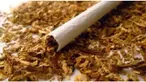 Direktorat Jenderal Pajak Kementerian Keuangan (DJP Kemenkeu) tengah mengkaji kenaikan tarif Pajak Pertambahan Nilai (PPN) atas produk hasil tembakau atau rokok hingga mencapai 10 persen pada 2019