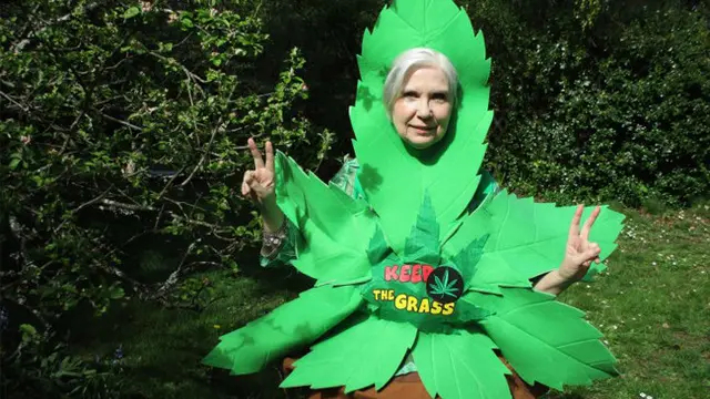 Rokok Ganja, Rahasia Sehat dan Umur Panjang Ala Nenek 70 Tahun