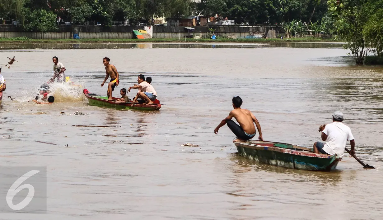 Warga berusaha menangkap bebek yang dilepas di kali Cisadane pada perayaan Peh Cun di Pasar Lama, Kota Tangerang, Kamis (9/6). Tradisi yang sudah mulai diadakan sejak tahun 1910 ini diadakan oleh peranakan Tionghoa. (Liputan6.com/Fery Pradolo)