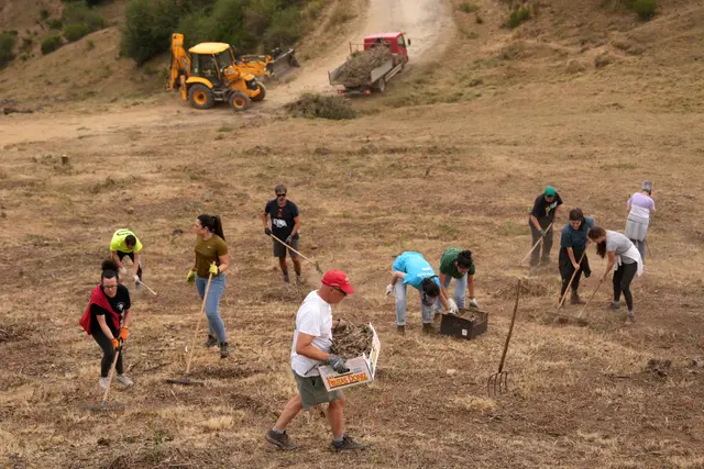 Area Hutan Pegunungan di Spanyol Dibersihkan