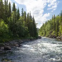 Ilustrasi Sungai Credit: pexels.com/Jon