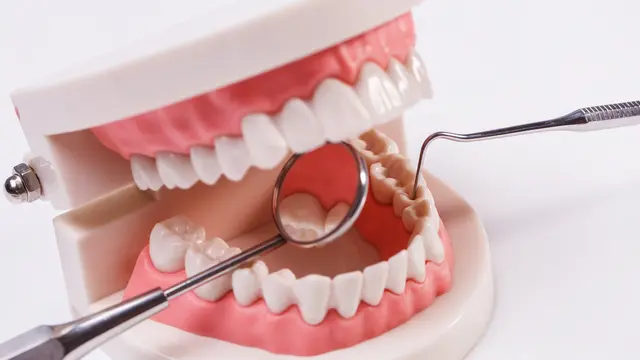 Gingivitis Adalah Kondisi yang Dikenal dengan Sebutan Radang Gusi. Cari Tahu di Sini Apa Saja Gejala Gingivitis atau Radang Gusi, Termasuk Pengobatan yang Tepat untuk Penyakit Gusi Ini (Freepik)