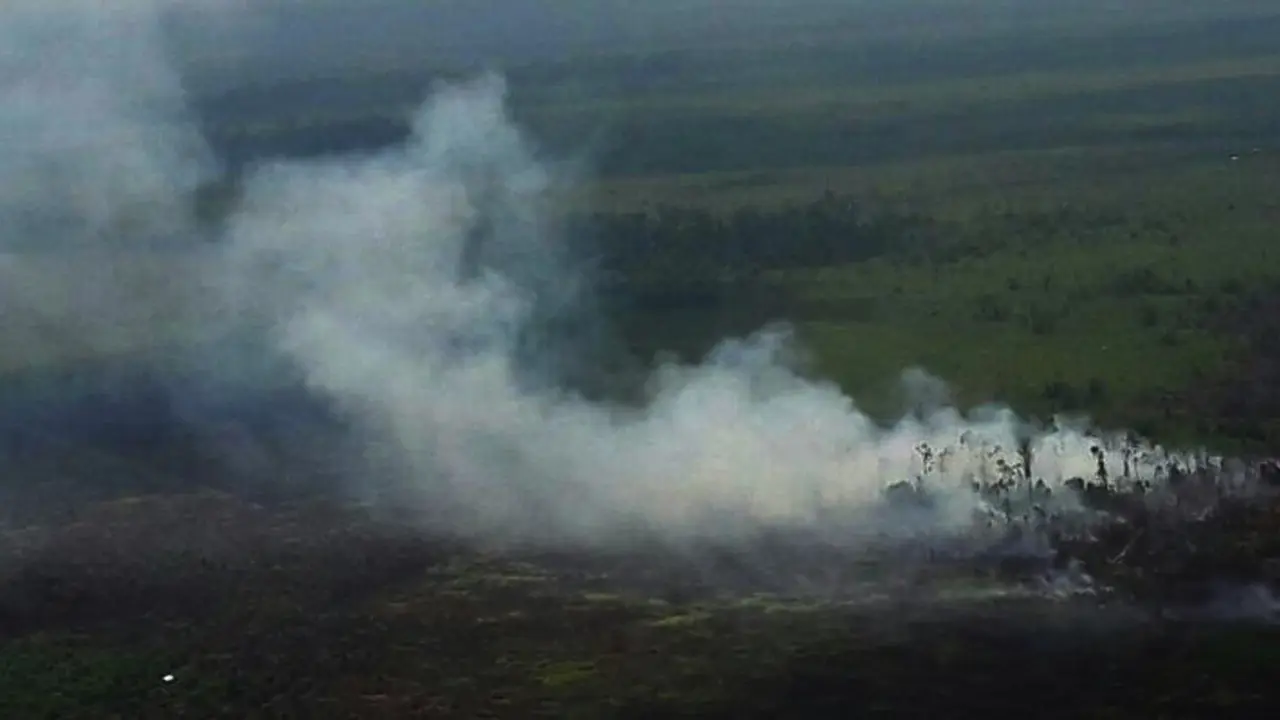 Karhutla Riau