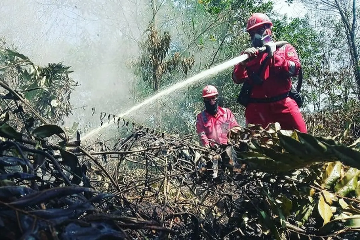 Proses pemadaman kebakaran lahan oleh petugas agar tidak terjadi bencana kabut asap.