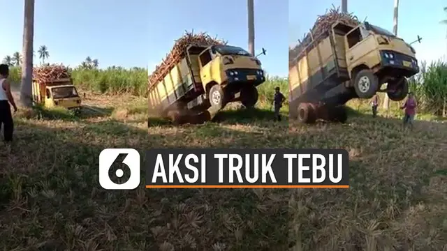 Biasanya aksi mobil-mobil jumping kerap dilakukan di adegan sebuah film. Tetapi aksi ini dilakukan oleh truk yang sedang membawa tebu.