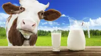 10 Negara Produsen Susu Terbesar di Dunia