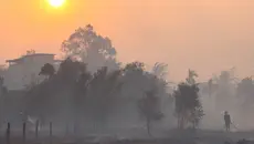 Kabut Asap Pekat, Penerbangan Sampit Lumpuh Total
