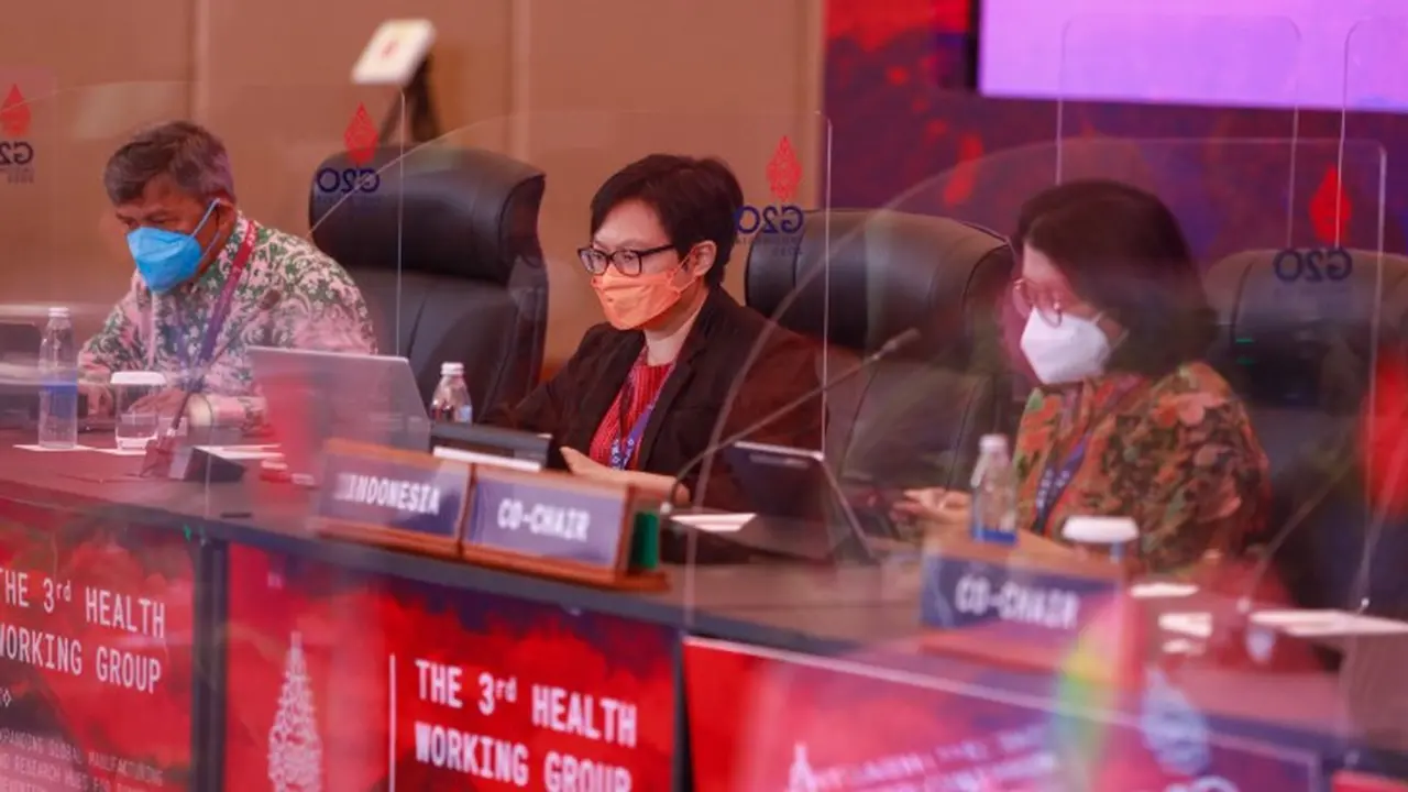 Health Working Group 3 G20