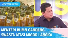 Dengan pertimbangan perkebunan sawit yang mayoritas dikuasai swasta, Menteri BUMN, Erick Thohir minta pihak swasta juga ikut berupaya mengatasi kelangkaan minyak goreng. Saat ini BUMN melalui PTPN telah berkontribusi mengatasi masalah kelangkaan miny...