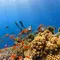 Penyelam Inggris Temukan Desa Abad Pertengahan yang Hilang di Bawah Laut