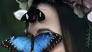 Kupu-kupu besar, Blue Morpho menghinggapi tepat di mata Jessie May Smart saat pembukaan, "Butterflies in the Glasshouse", di RHS Wisley di Wisley, Inggris, (13/1). Ditempat ini sedikitnya terdapat 6.000 kupu-kupu yang hidup bebas. (AFP/Adrian Dennis)