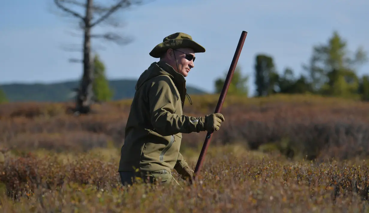 Presiden Rusia, Vladimir Putin ketika menghabiskan waktu di kawasan hutan pegunungan Siberia, pada 6 Oktober 2019. Presiden Vladimir Putin menikmati hari lahirnya dengan mendaki pegunungan dan memetik jamur liar pada akhir pekan lalu. (Alexey DRUZHININ / Sputnik / AFP)